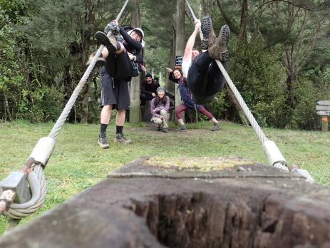 Wairoa Loop Track