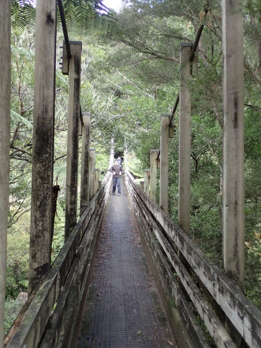 Wairoa Loop Track