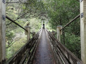 Wairoa Loop Track