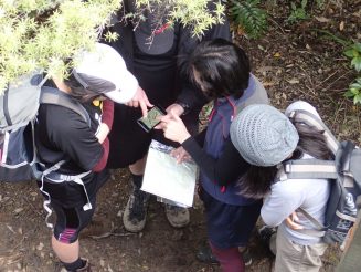 Wairoa Loop Track