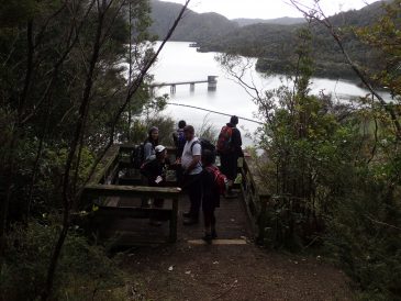 Wairoa Loop Track