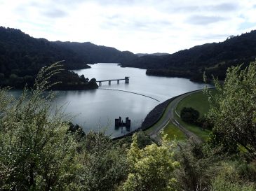 Wairoa Loop Track