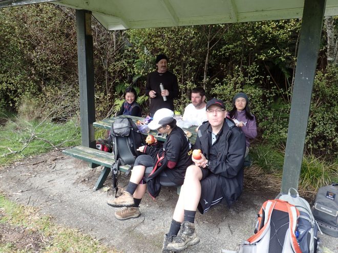 Wairoa Loop Track