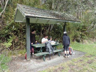 Wairoa Loop Track