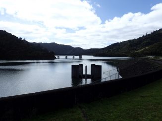 Wairoa Loop Track