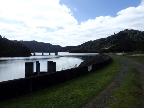 Wairoa Loop Track