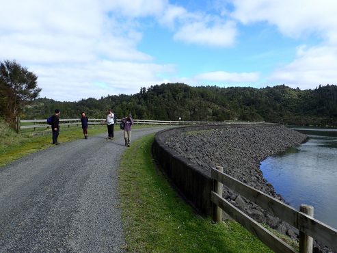 Wairoa Loop Track