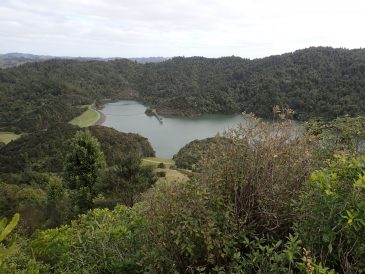 Wairoa Loop Track
