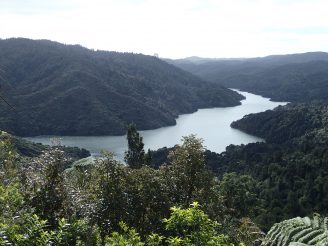 Wairoa Loop Track