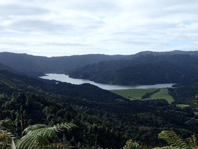 Wairoa Loop Track
