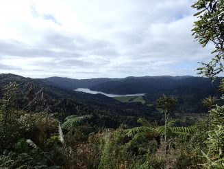 Wairoa Loop Track