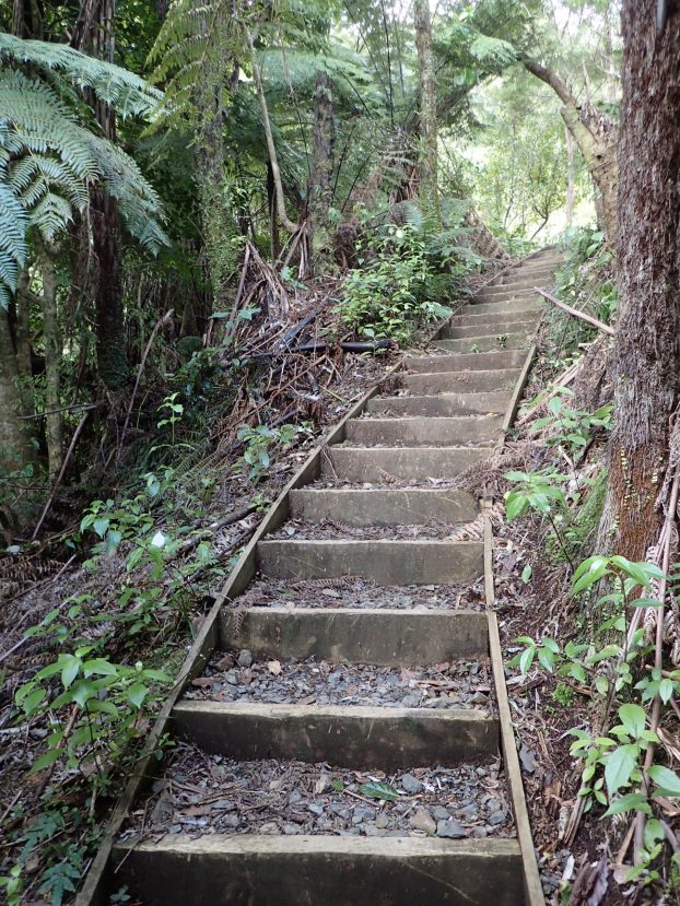 Wairoa Loop Track