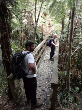 Wairoa Loop Track