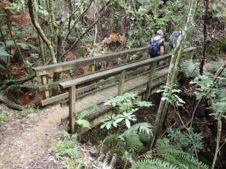 Wairoa Loop Track