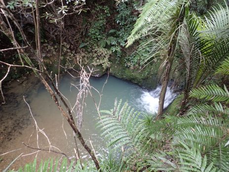 Wairoa Loop Track