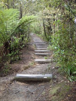 Cossey Massey Loop