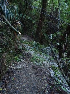 Cossey Massey Loop
