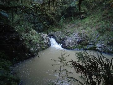 Cossey Massey Loop