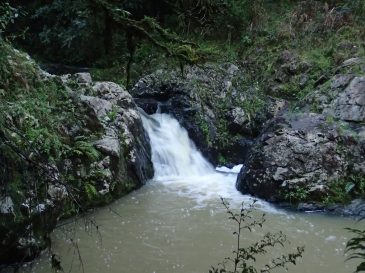 Cossey Massey Loop
