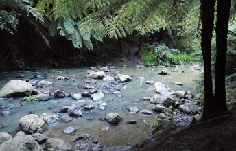 Cossey Massey Loop