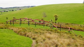 Gibbs Farm Visit