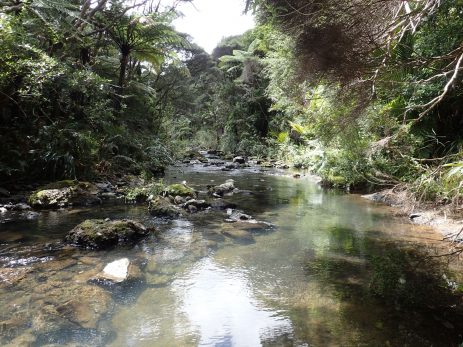 Pararaha Valley