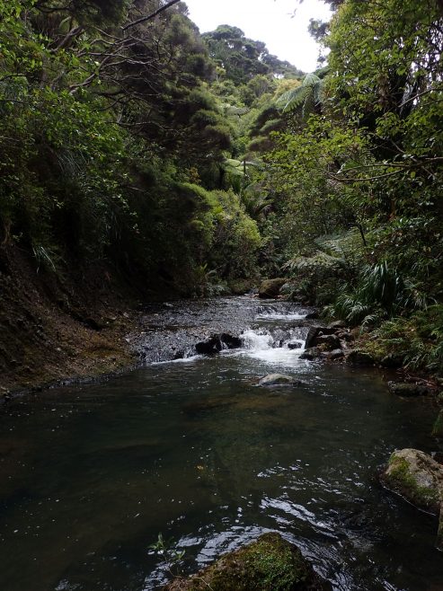 Pararaha Valley