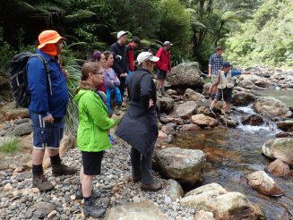 OTNZ River Safety Course