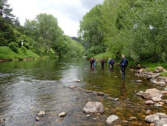 OTNZ River Safety Course