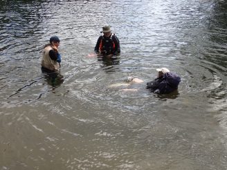 OTNZ RIver Safety Course