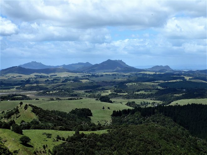 Pataua North
