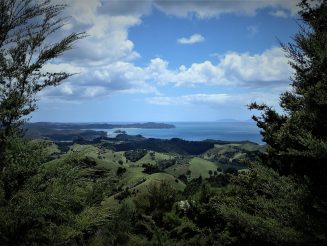 Pataua North