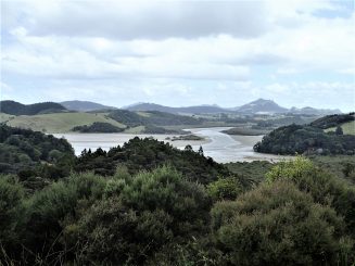 Pataua North