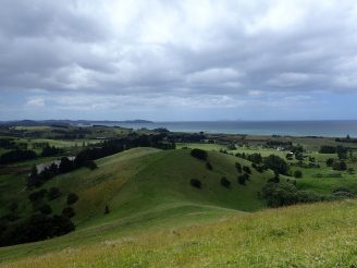 Pataua North
