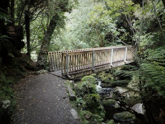 McLean Falls