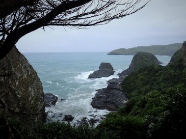 Track to Jack's Blowhole