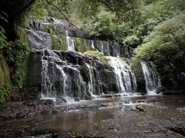 The Catlins