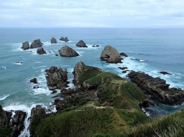 Nugget Point