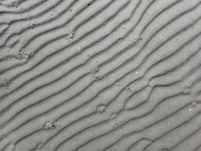 Ihumatao Coast