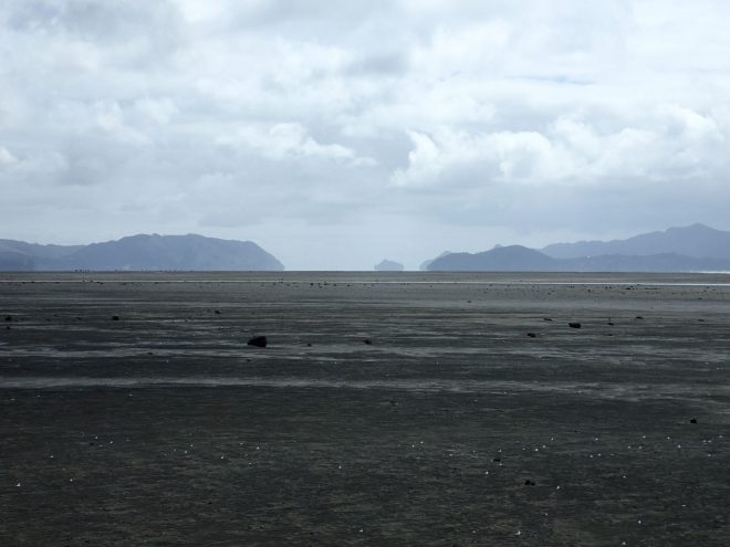 Ihumatao Coast