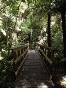 Moirs Hill Walkway