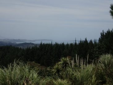Moirs Hill Walkway