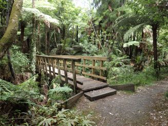Moirs Hill Walkway