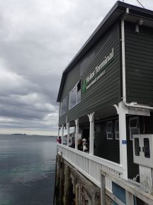 Stewart Island