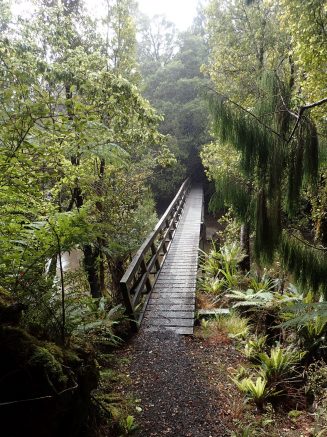 Rakiura Track