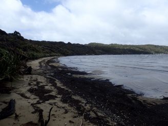 Stewart Island
