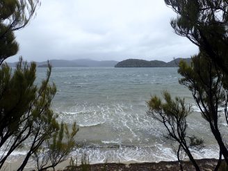 Rakiura Track