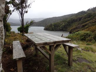 Rakiura Track