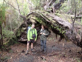 Rakiura Track