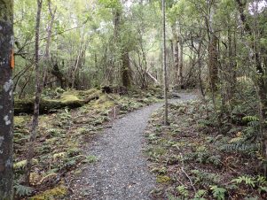 Rakiura Track
